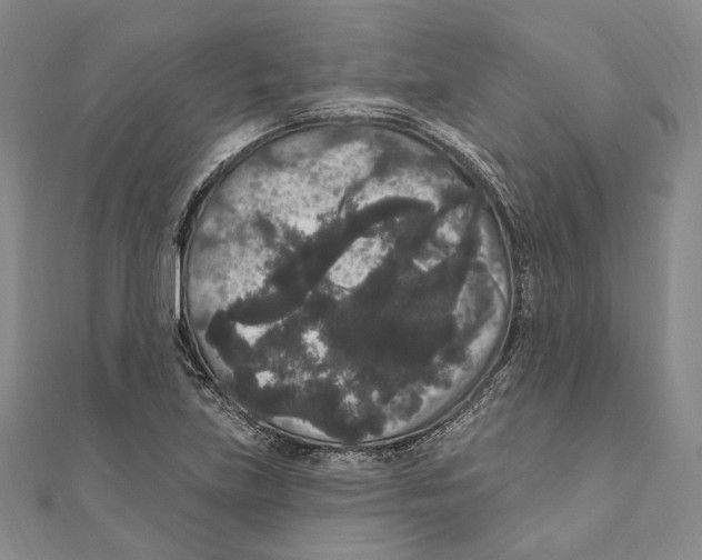 X0000111161219200907281146