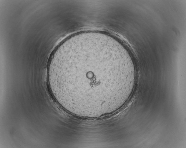 X0000111161220200907281146