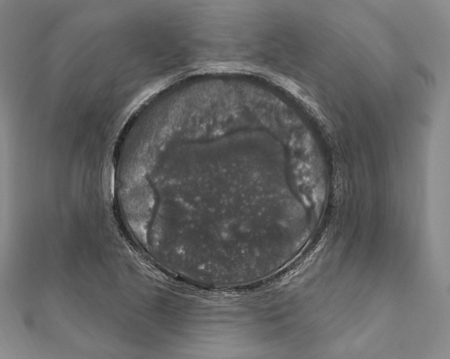 X0000111161221200907281146