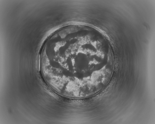 X0000111161223200907281146