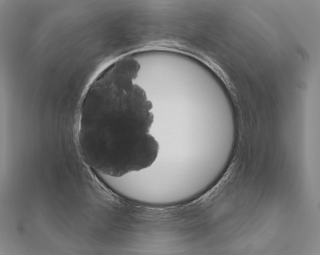 X0000111161224200907281146