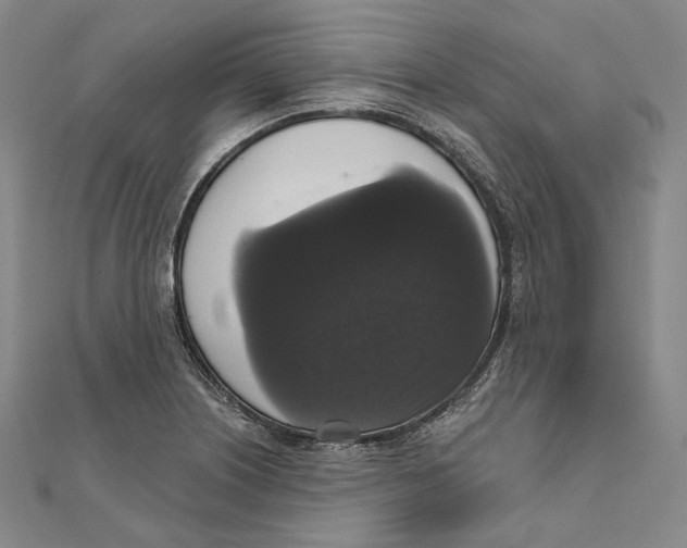 X0000111161226200907281146