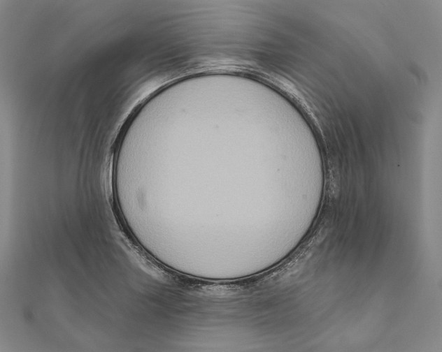 X0000111161227200907281146