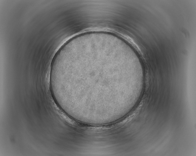 X0000111161228200907281146