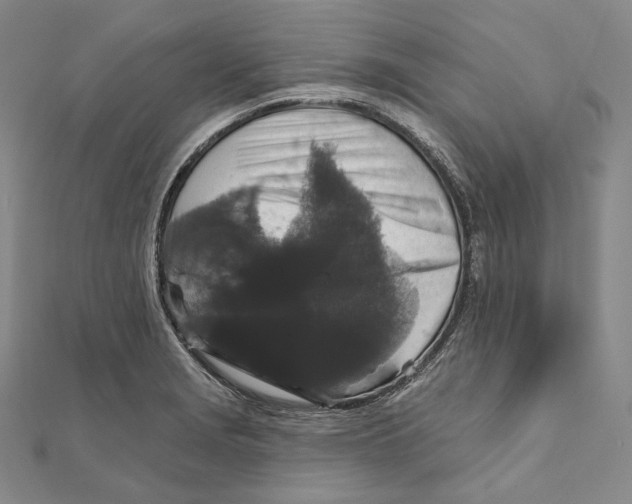 X0000111161229200907281146