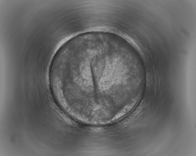 X0000111161230200907281146