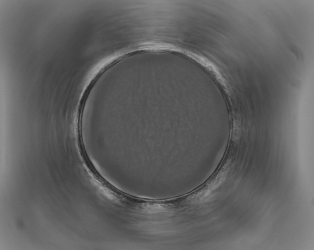 X0000111161231200907281146