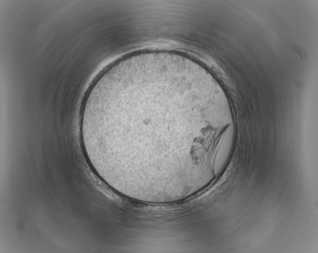 X0000111161232200907281146