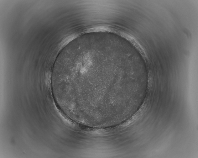 X0000111161233200907281146