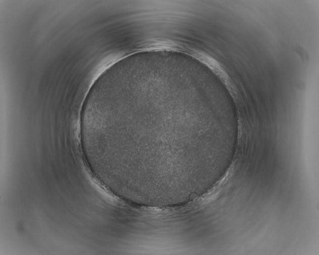 X0000111161234200907281146