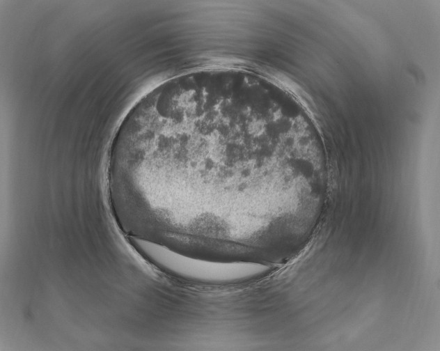 X0000111161235200907281146