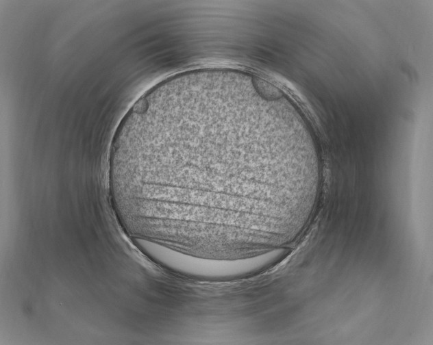 X0000111161236200907281146