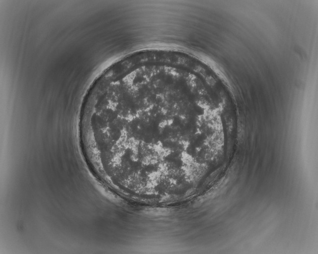 X0000111161237200907281146