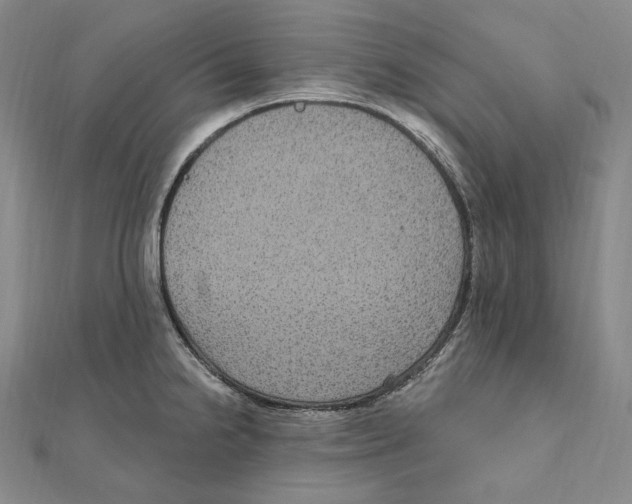 X0000111161238200907281146