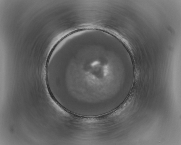 X0000111161239200907281146