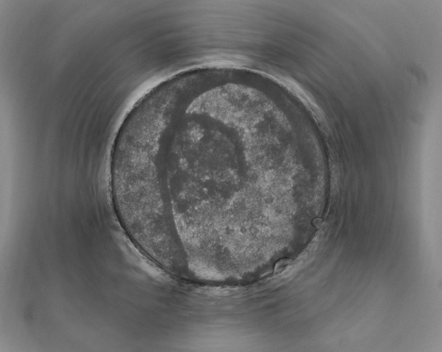 X0000111161240200907281146