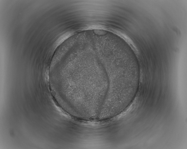 X0000111161241200907281146