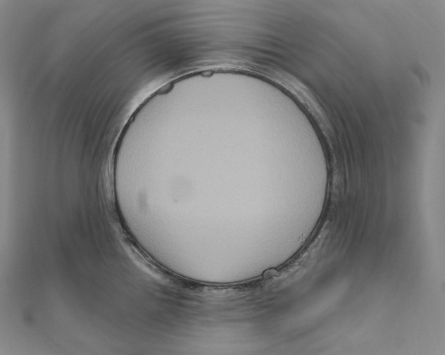 X0000111161242200907281146