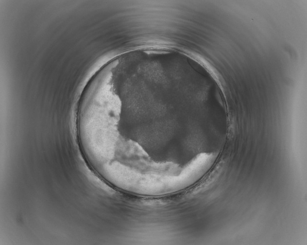 X0000111161243200907281146