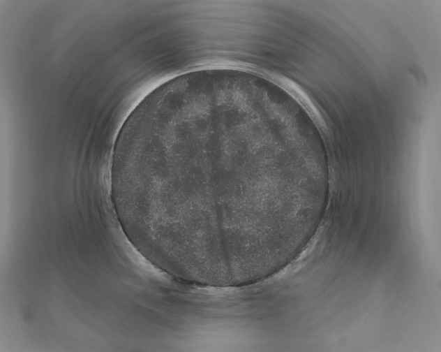 X0000111161244200907281146