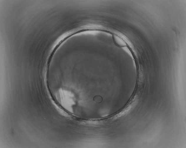 X0000111161245200907281146