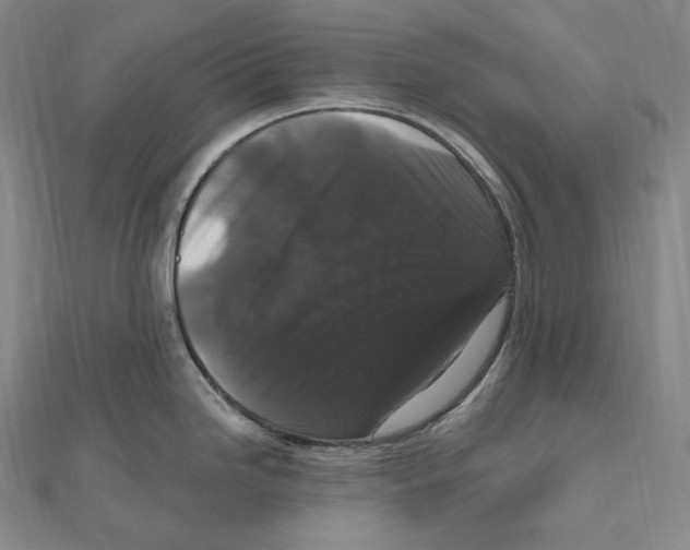 X0000111161246200907281146