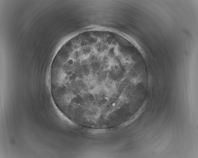 X0000111161247200907281146