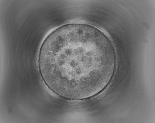 X0000111161248200907281146