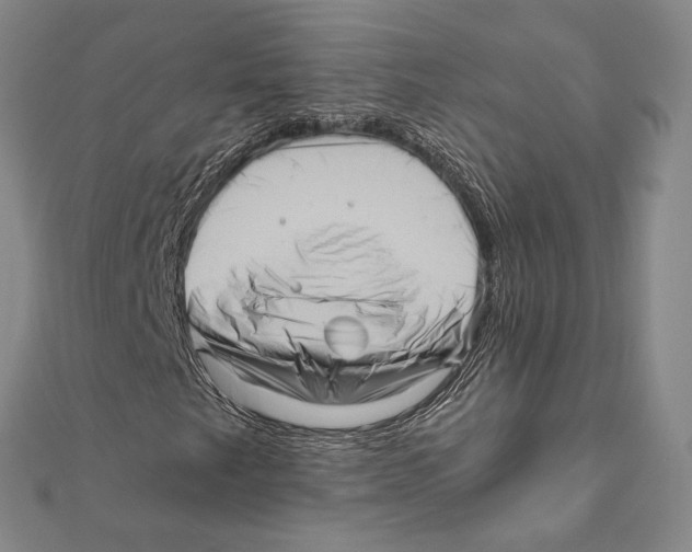 X0000111161249200907281146