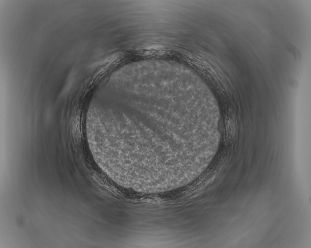 X0000111161250200907281146