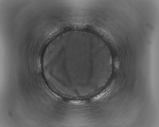 X0000111161252200907281145