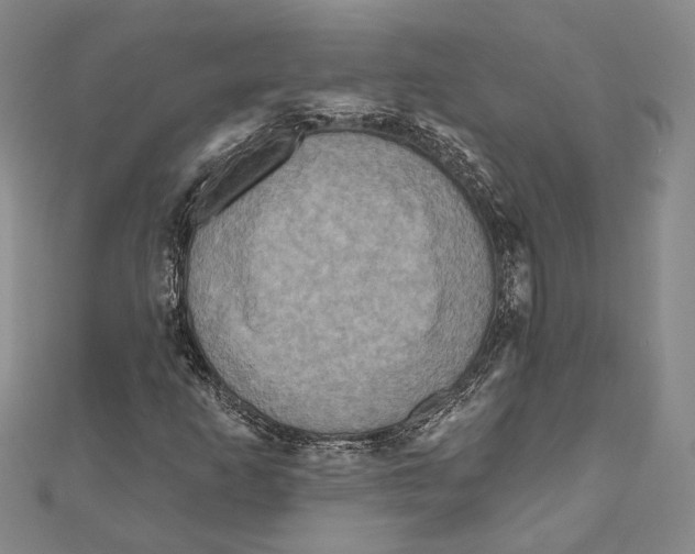 X0000111161253200907281145