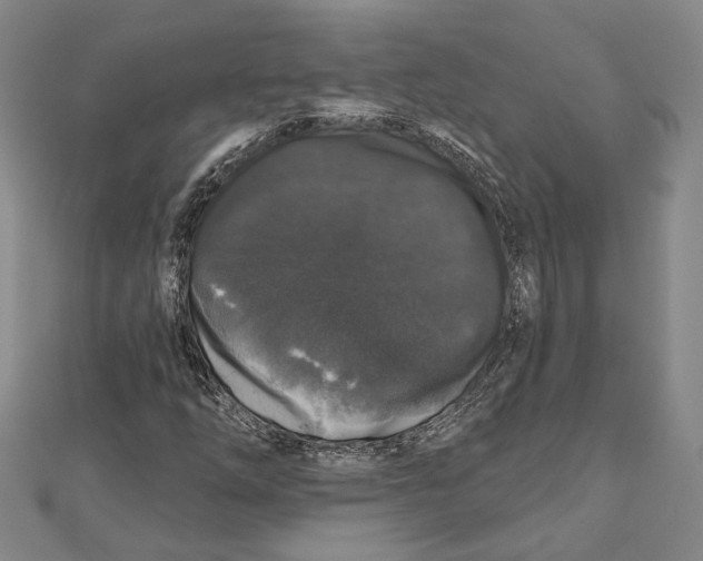 X0000111161254200907281145