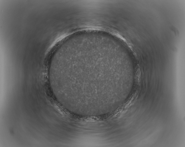 X0000111161255200907281145