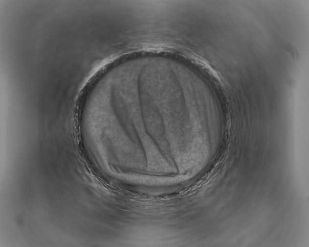 X0000111161256200907281145