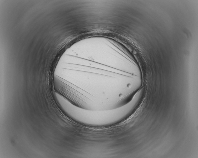 X0000111161257200907281145