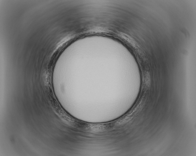 X0000111161258200907281145