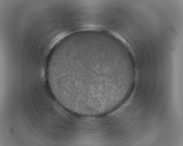 X0000111161259200907281145