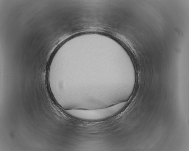 X0000111161260200907281145