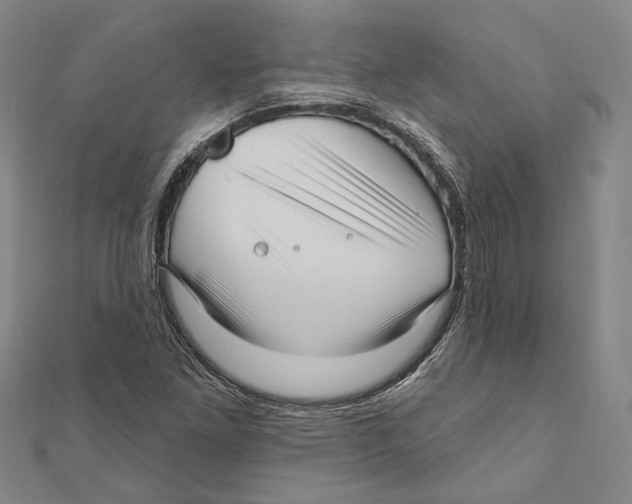 X0000111161261200907281145