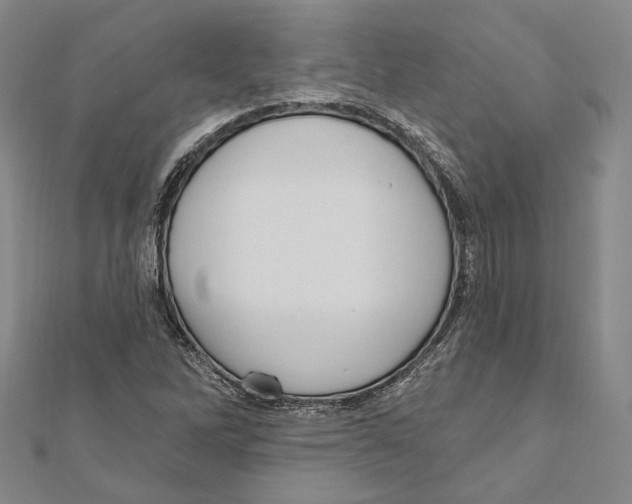 X0000111161262200907281145