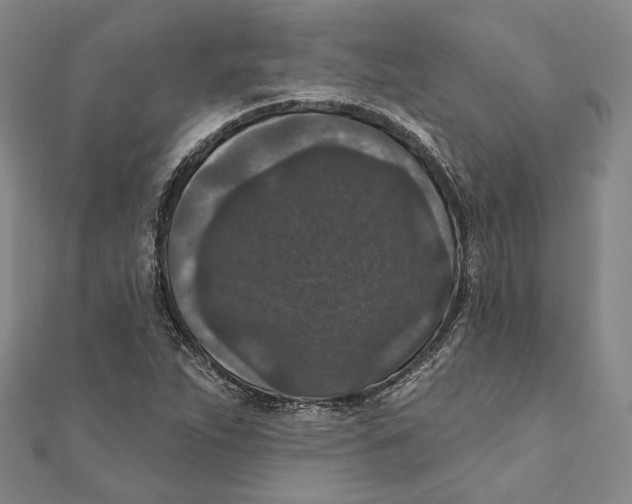 X0000111161263200907281145