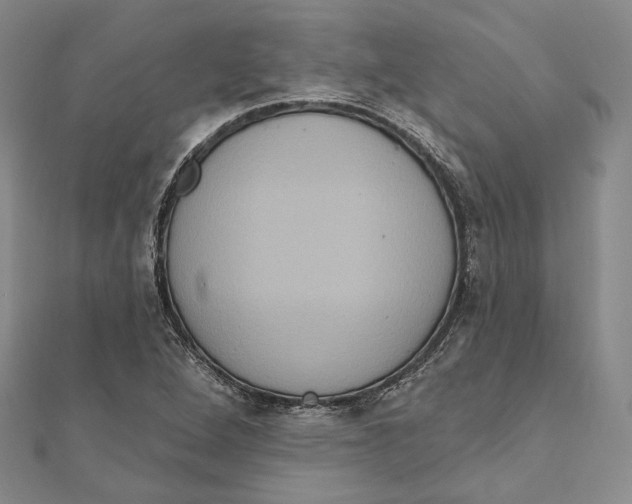 X0000111161264200907281145