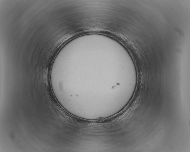 X0000111161265200907281145