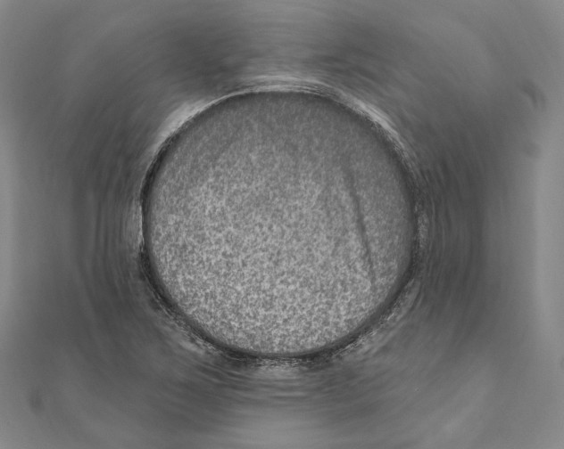 X0000111161267200907281145