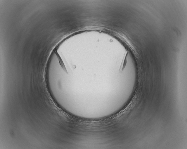 X0000111161268200907281145