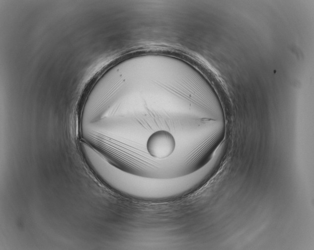 X0000111161269200907281145