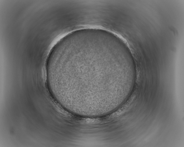 X0000111161271200907281145