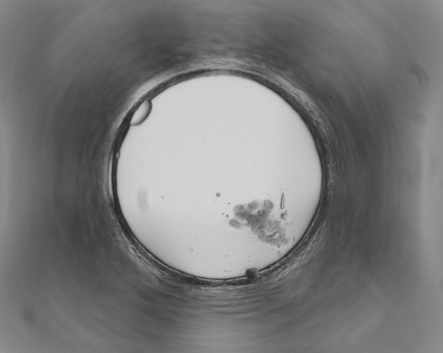 X0000111161272200907281145