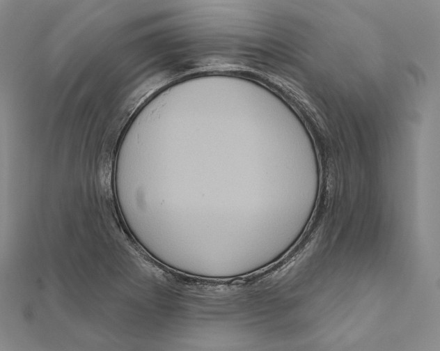 X0000111161273200907281145